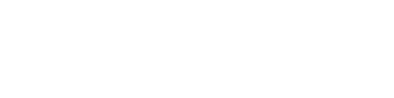 Sloika2